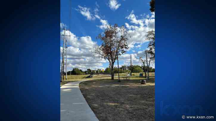 San Marcos removing trees due to 'drought stress and disease'