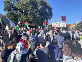 Dozens of groups rally in downtown Raleigh supporting either Israel or Palestinians