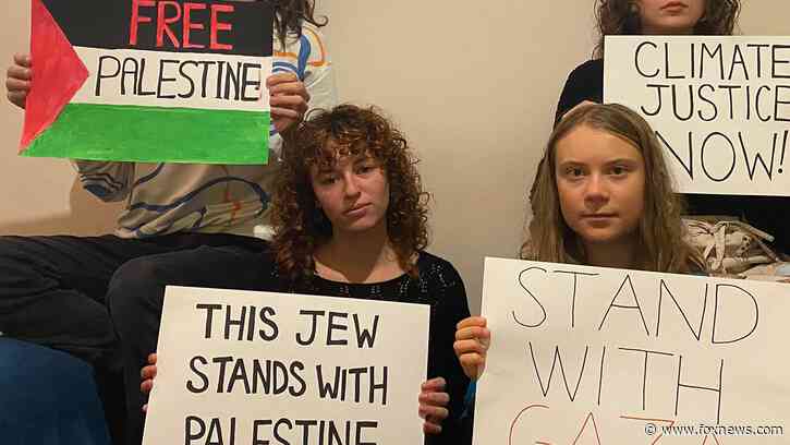 Greta Thunberg posts then deletes 'free Palestine' post after pushback: 'I was completely unaware'