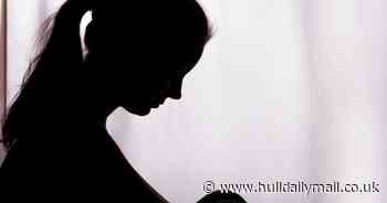 Hull mum who fled domestic abuse 'went days without food' after being refused crisis cash for cooker