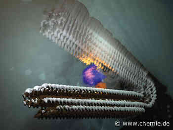 Forscher konstruieren pulsierenden Nanomotor