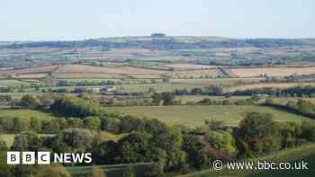 England's Big Picture: 16 October - 22 October 2023