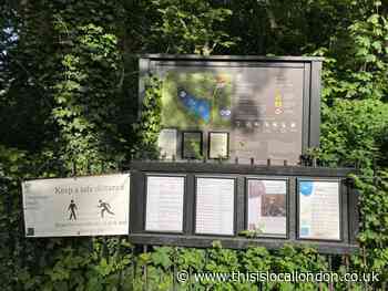 Men's pond lifeline as Kenwood Ladies pond shut for repairs