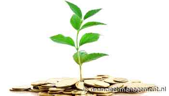 Bedrijven investeerden meer toen de zomer afliep