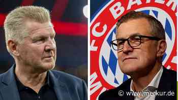 Effenberg knöpft sich Bayern-Vorstand wegen Mazraoui vor