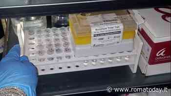 Il premio da 2mila euro diventato una "beffa" per i ricercatori di Roma e del Lazio