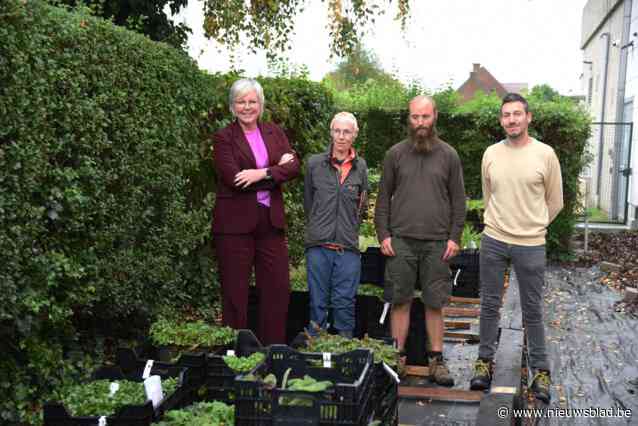 Meer groen in de stad door plantenboxen