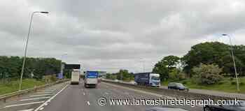 M62: Motorway shut and armed police sent after bull escapes