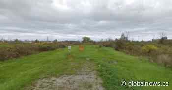 How a sliver of land connected to a Ford-friendly union was removed from the Greenbelt