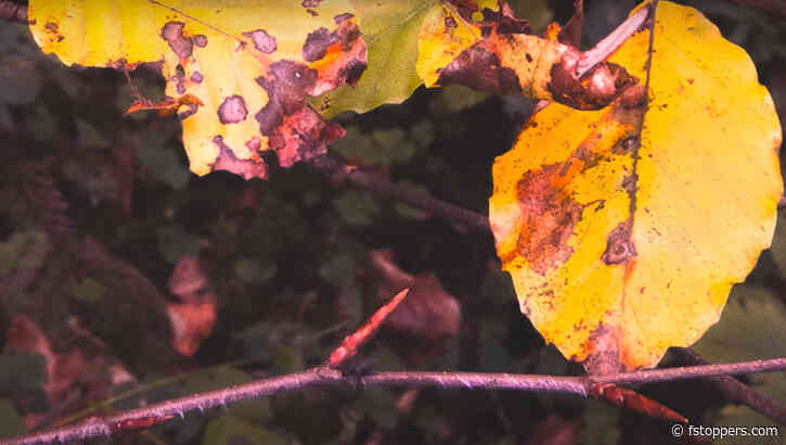 Making the Best of Bad Conditions in Landscape Photography