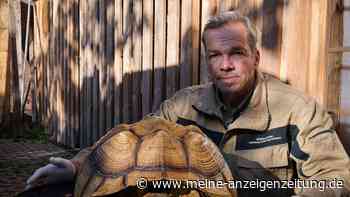 Riesenschildkröte ausgesetzt - Tier erfriert