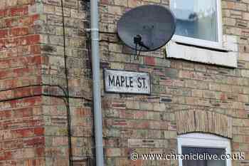 Hero neighbours raced to save little boy as he was mauled by dog in street