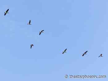 Saskatoon weather: A small sample of the coming snowy season