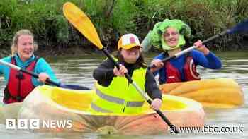 Belgians race boats made of giant pumpkins