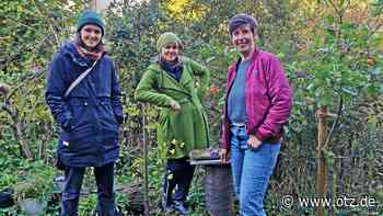 Grüner Treff in der Jenaer Lutherstraße