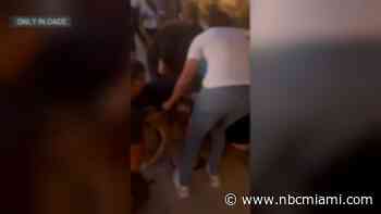 ‘It seemed like eternity': Man says pit bull attacked his dog at Miami Beach restaurant