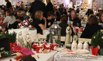 Plans for upcoming Festival of Trees are taking shape