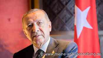 Erdogan legt Parlament Nato-Beitritt Schwedens vor
