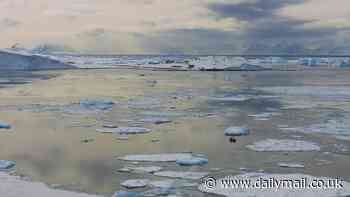 Humans have 'lost control' of the West Antarctic Ice Sheet melting - and it could cause global sea levels to rise by 3.2 FEET by 2100, study warns