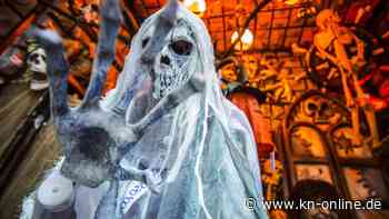 Ausflug an Halloween 2023: Beliebte Reiseziele mit dem Zug