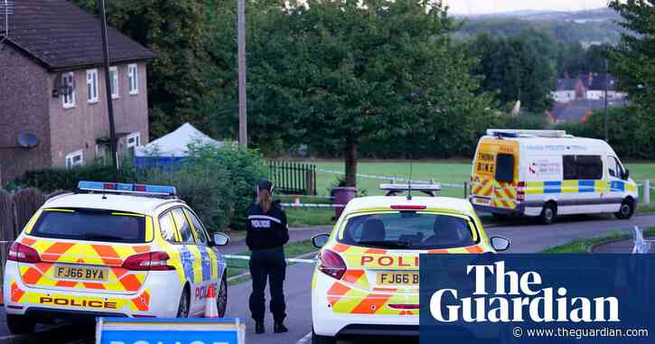 Probation officers fear repeat of failings in murder case as pressures mount