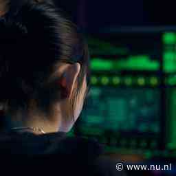 Kritiek op systeem voor opsporen kindermisbruik: veel fouten en privacyschending