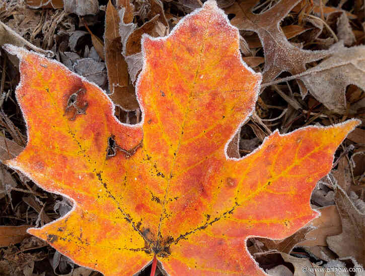 NEW: Frost Advisory issued for Arlington and D.C.