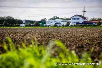 So will das Recyclingzentrum Drekopf erweitern