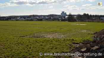 Trotz Umweltbedenken: Planung für Flechtorfer Baugebiet geht weiter