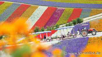 Ranking: Das sind die besten Urlaubsdörfer der Welt 2023