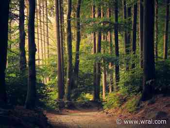 Fayetteville man shot, killed in hunting accident