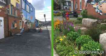 Green initiative continues to transform concrete for gardens on Hamilton’s Barton Street