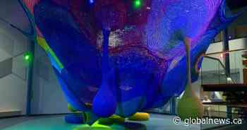 Wander at Wonderhub invites adults to explore as part of its largest fundraiser