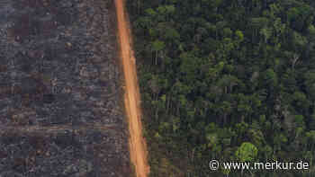 Moderator fordert Ende der heutigen Landwirtschaft: „Es geht nicht um Veggie oder Würstchen“