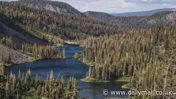 Is California's supervolcano set to blow? Scientists identify more than 2,000 quakes at the Long Valley Caldera that they say 'are precursors for an eruption'