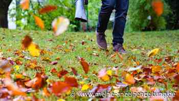 Vorsicht bei Laubbläsern: Lärmbelästigung kann bis zu 50.000 Euro kosten