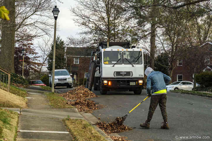 With fall foliage peaking in Arlington, vacuum leaf collection to begin in three weeks