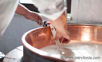 Causes of microbiological defects in cheese