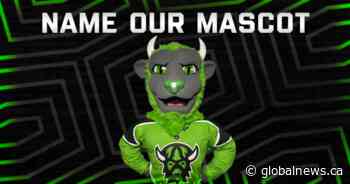 Horny or Rowdy: Saskatchewan Rush mascot name boils down to in-person election