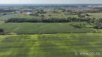 Ontario's urban boundary reversal a 'big victory' for Hamilton, mayor says