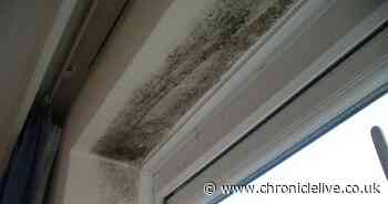 The one thing you should never do to black mould in your home, according to painting expert