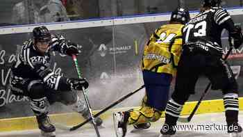 Mooseder-Hattrick! Black Bears Freising starten mit Sieg in die Saison