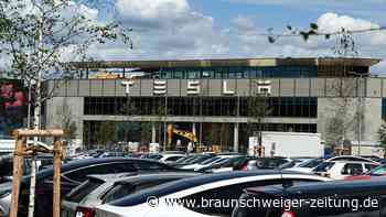 Tesla-Ausbau: „Der Erörterungstermin ist eine Farce“