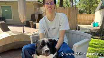 Hero Border Collie saves life of 17-year-old boy who was having a STROKE after waking his parents up in the middle of the night and scratching on their son's door