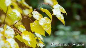 Will it snow in Denver this weekend? Here's what we're tracking.