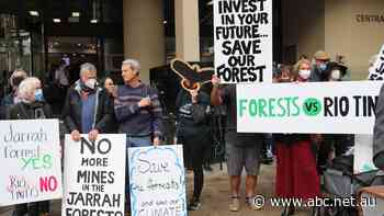 Proposal to charge $859 to challenge WA mining activities 'anti-democratic', opponents say