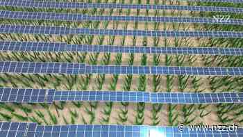 Die Internationale Energieagentur läutet das Ende des fossilen Zeitalters ein. Dennoch dürften die Klimaziele verfehlt werden