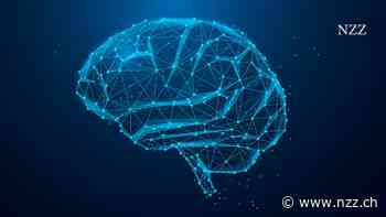 Künstliche Intelligenz frisst enorm viel Energie. Kann sie dem Gehirn ähnlicher und dadurch sparsamer werden?
