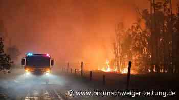 „Sieben Meter hohe Flammen“: Buschbrände wüten in Queensland