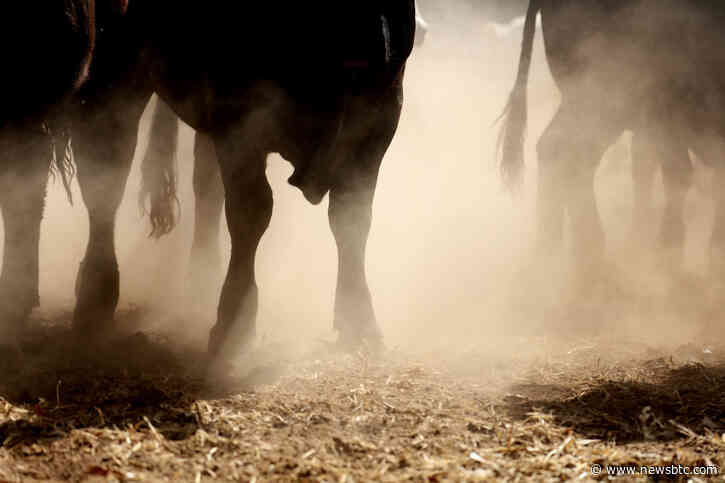 Ethereum Accelerates Toward $2,000 But Can The Bulls Make It?
